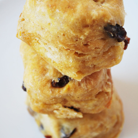 Pumpkin Raisin Biscuits, made with carbonated water!