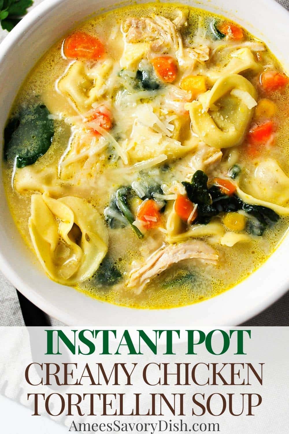 This Creamy Instant Pot Tortellini Soup is made with savory veggies, cheese tortellini, and tender chicken in an irresistibly creamy broth. via @Ameessavorydish
