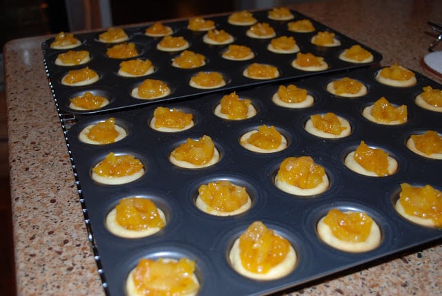filled apricot tart shells