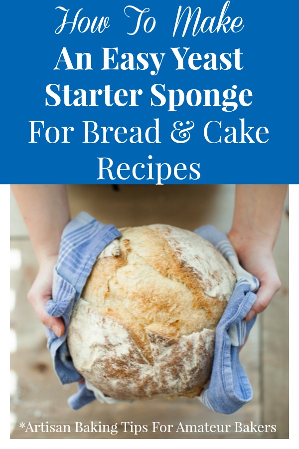 Making a yeast starter sponge from scratch for bread and cake recipes is actually really simple.  Using this yeast starter sponge yields breads and cakes with amazing taste and texture! #bakingtips #yeaststarterrecipe via @Ameessavorydish