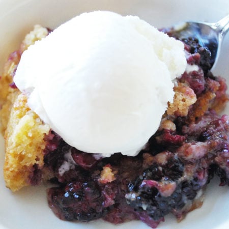 A lightened-up recipe for Easy Blackberry Cobbler that's perfect for your summertime gathering. Don't forget the ice cream!
