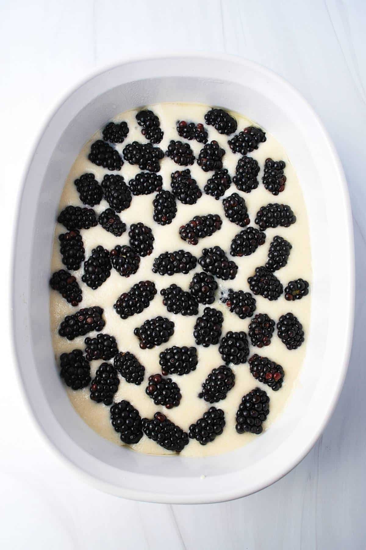 blackberries sprinkled on top of cobbler batter in a baking dish
