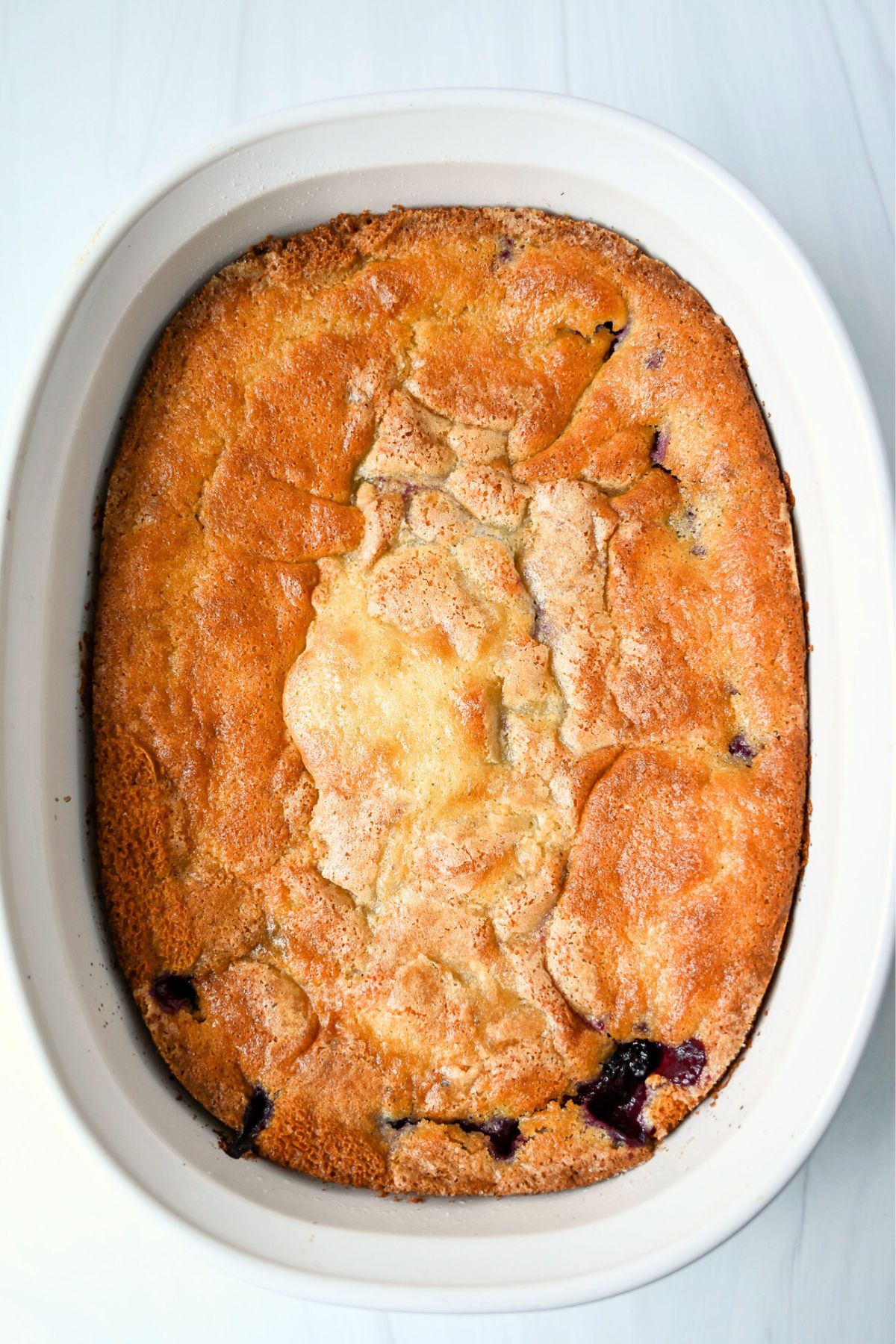 baked blackberry cobbler in a white baking dish