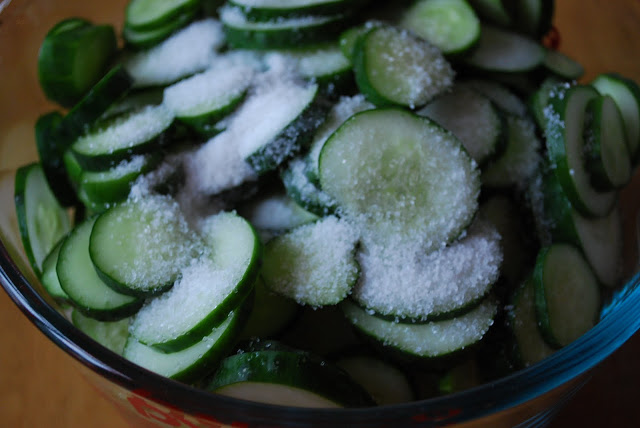Sliced cucumbers in a bowl covered in salt