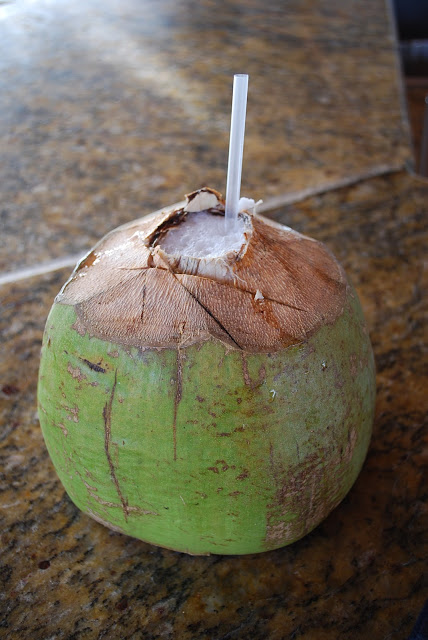 frozen drink in a coconut