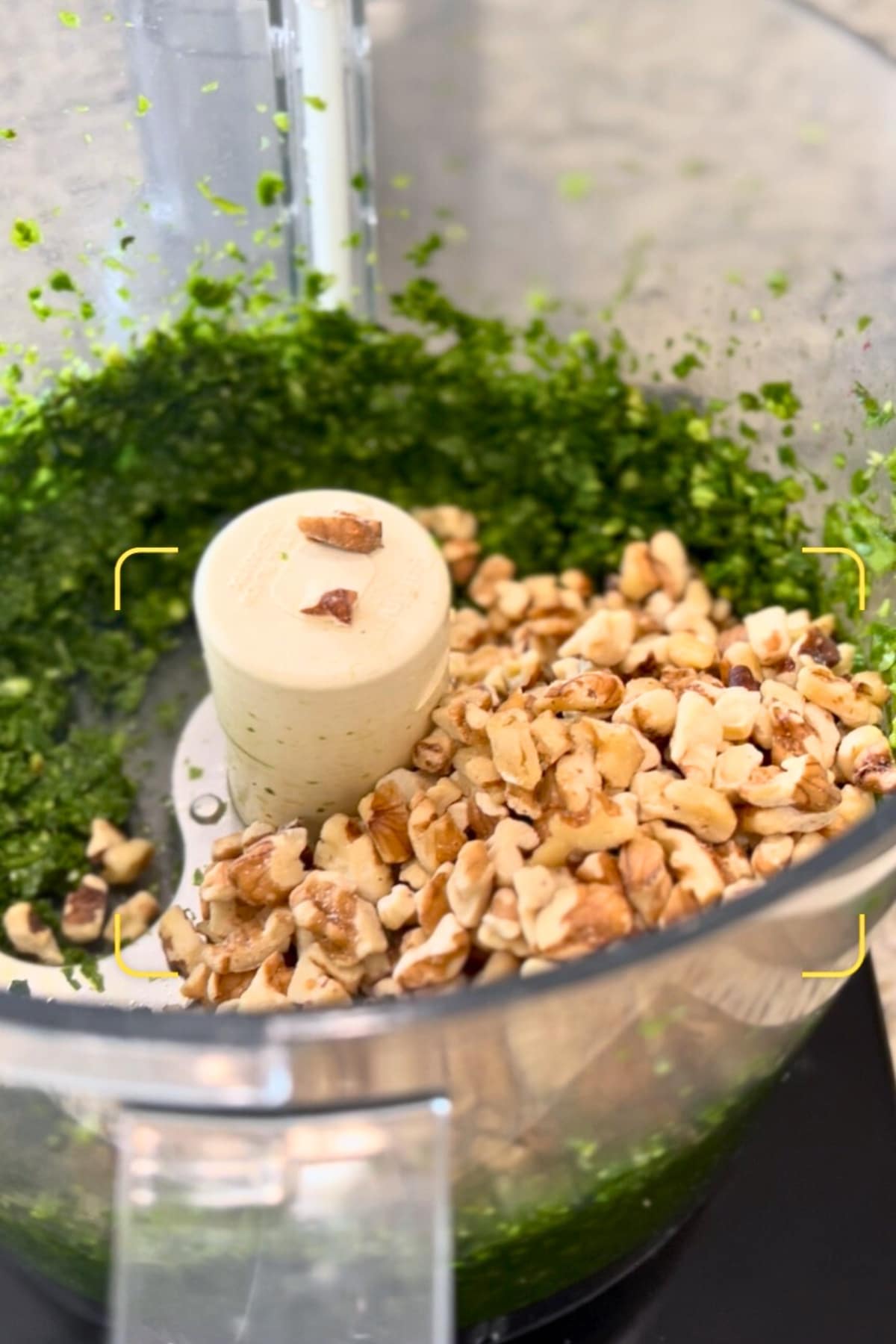 chopped basil and walnuts in a food processor