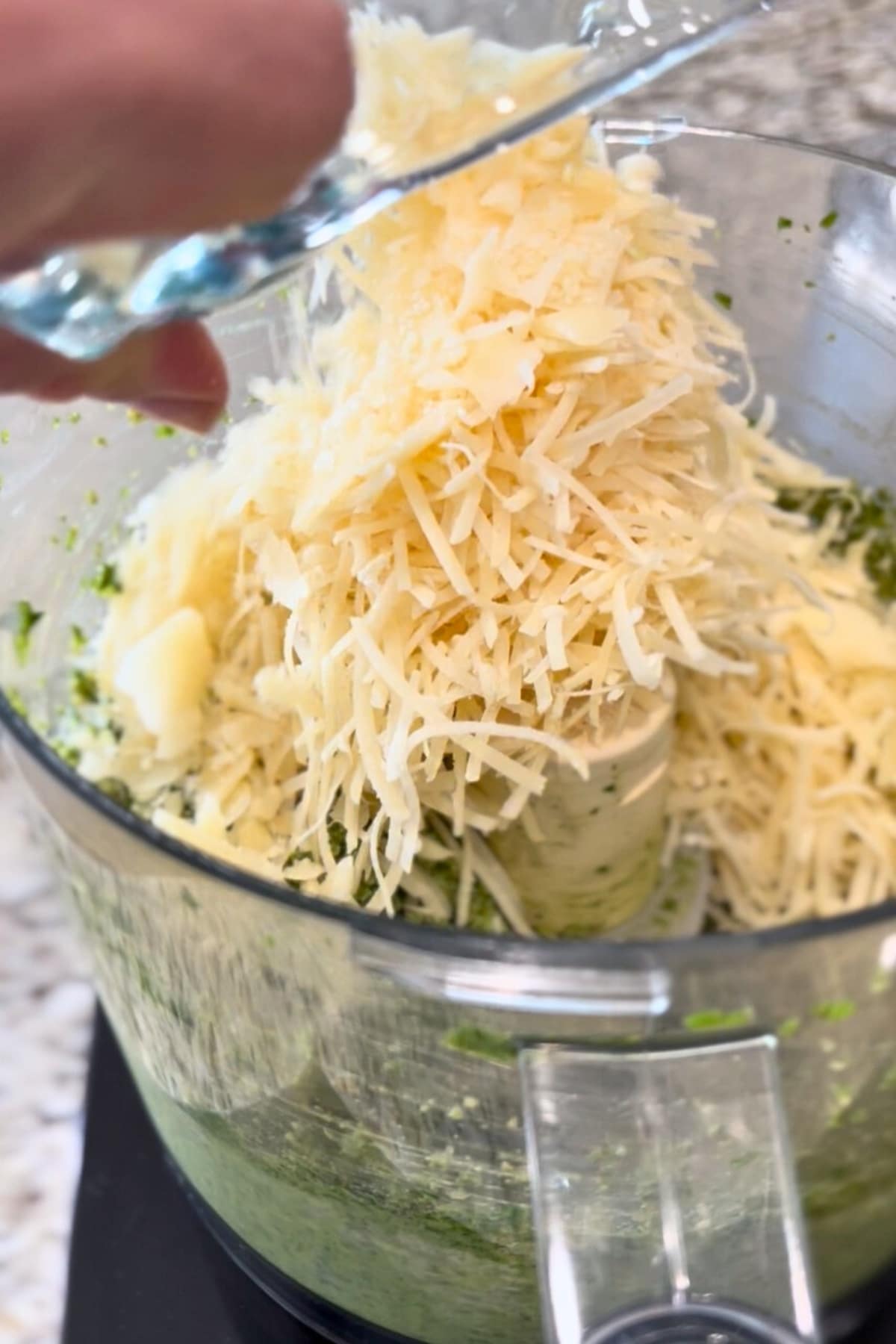 adding parmesan cheese to pesto in a food processor