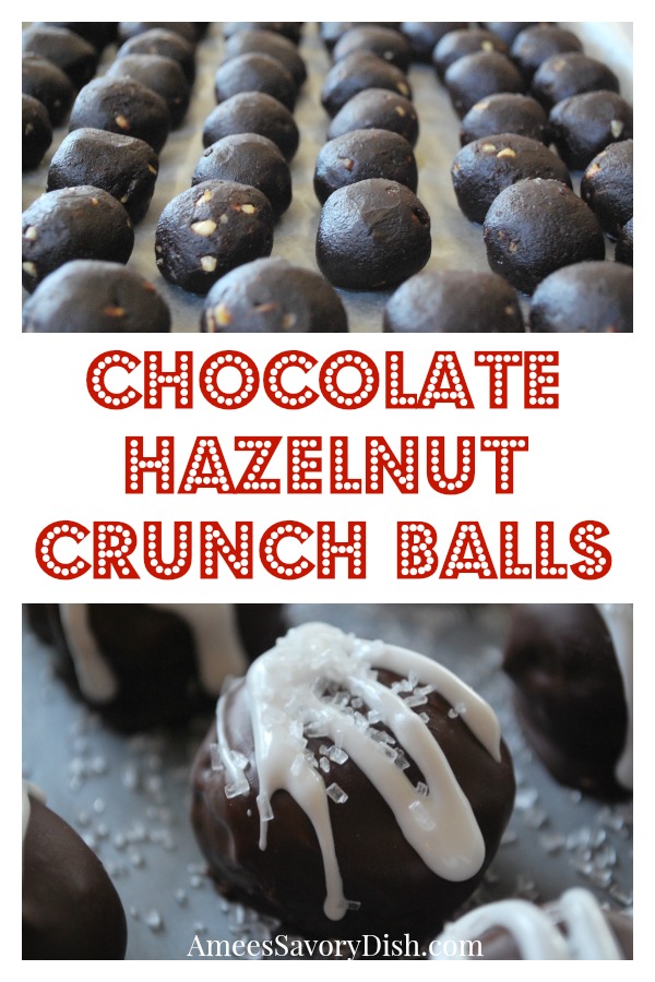 Chocolate Hazelnut Crunch Cake Balls- Amee's Savory Dish
