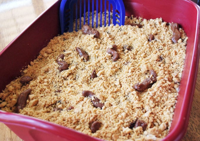This Kitty Litter Cake is easy to make and a fun gag for Halloween or kid parties