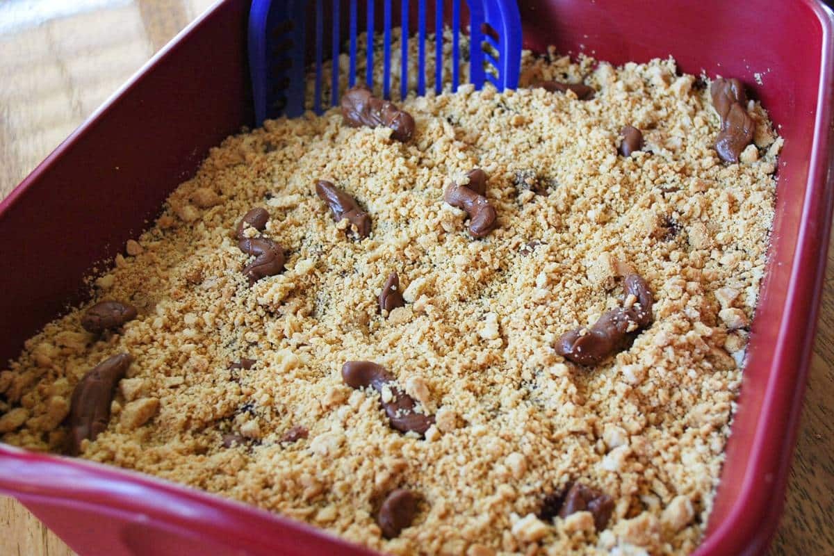 Amateur baker creates cat litter tray - using melted chocolates as fake poo