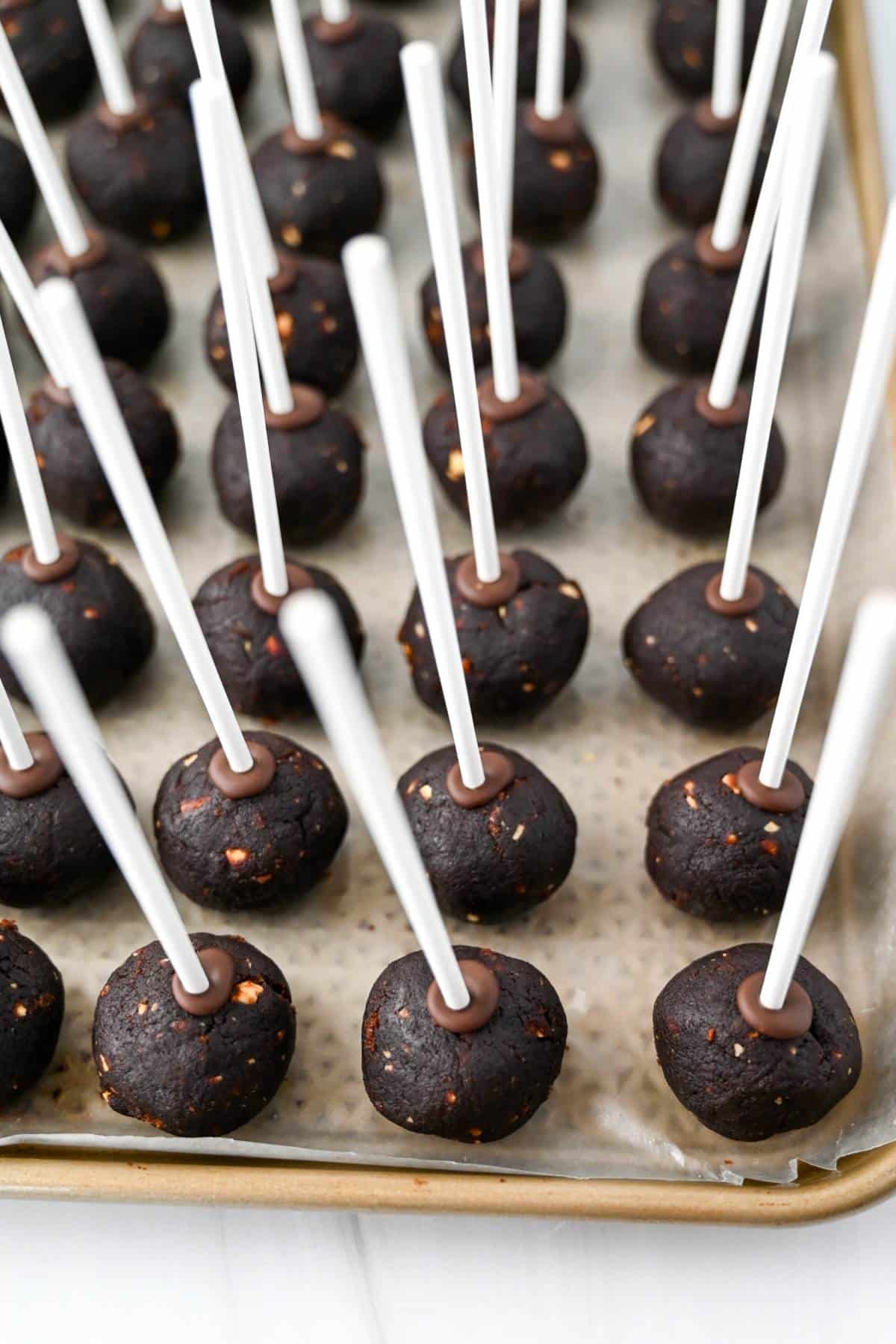 Cake pops with sticks in them that were dipped in chocolate to stick