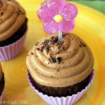 Guiltless Chocolate Bliss Cupcakes