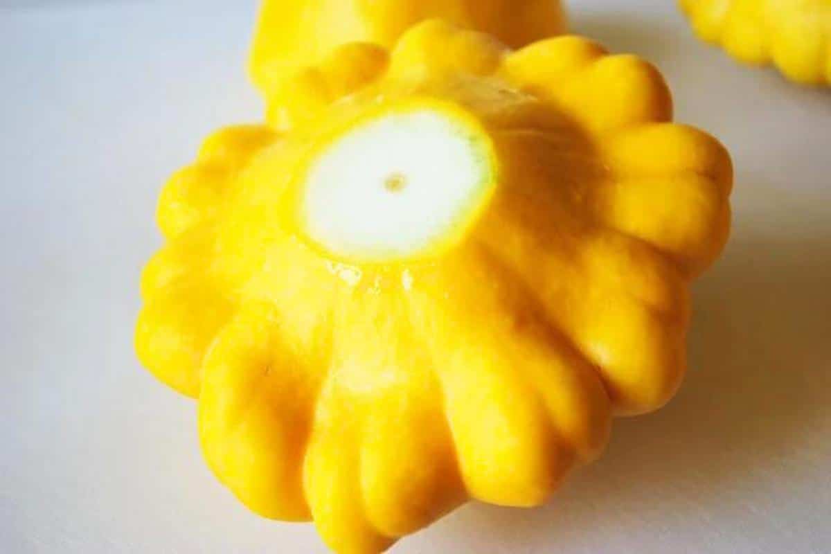 a patty pan squash with the tip cut off to lay flat