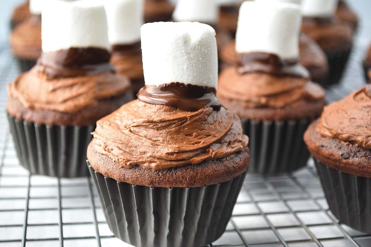 chocolate cupcakes topped with chocolate dipped marshmallows