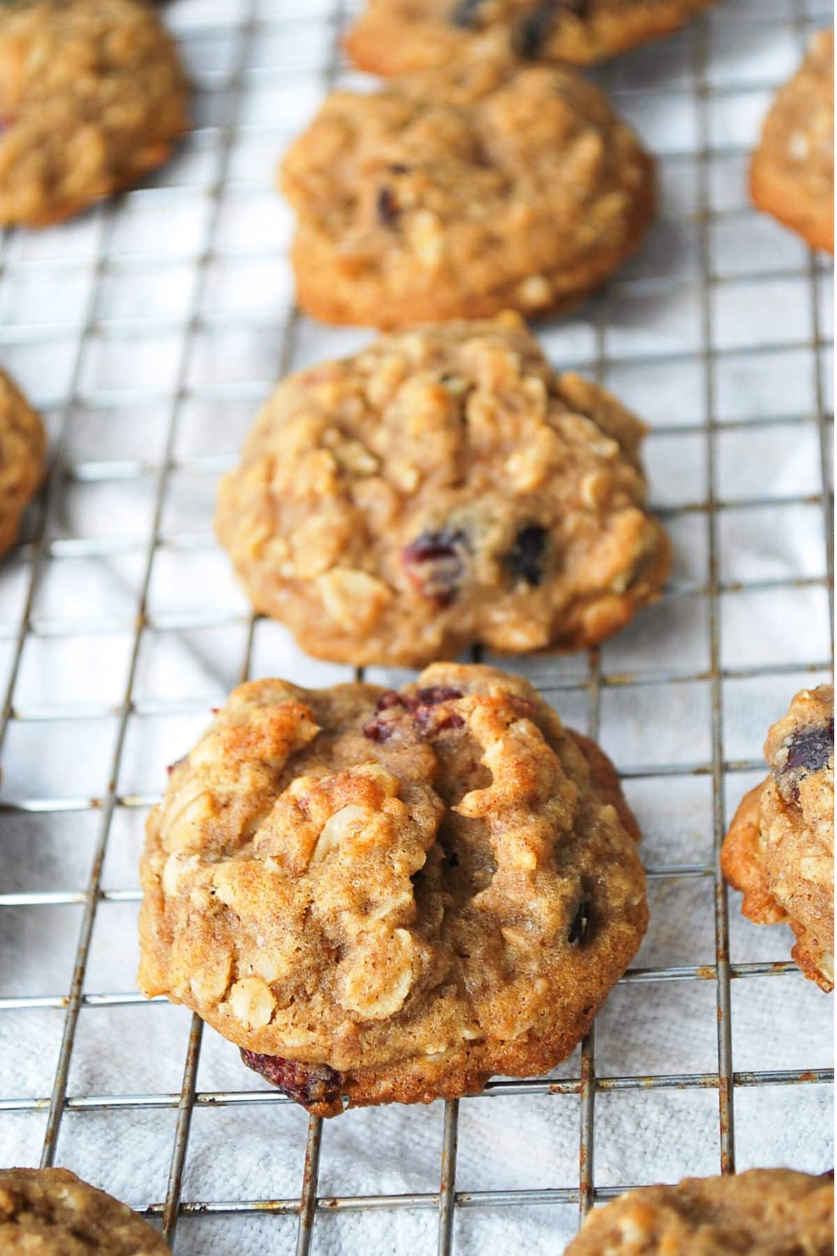 oatmeal cranberry cookies on a cooling rack fresh from the oven