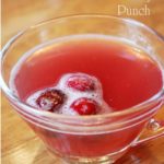 Cranberry Holiday Punch