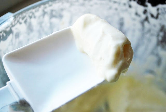 Easy Paleo homemade mayonnaise 