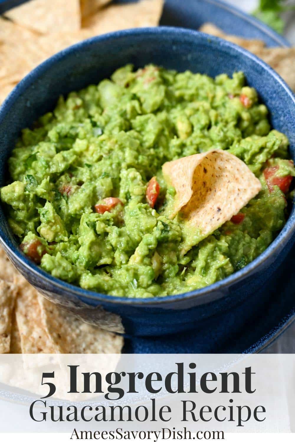 This easy from-scratch guacamole dip recipe is made from ripe avocados, tomatoes, onion, fresh lime juice... and a secret ingredient that makes it sing! via @Ameessavorydish