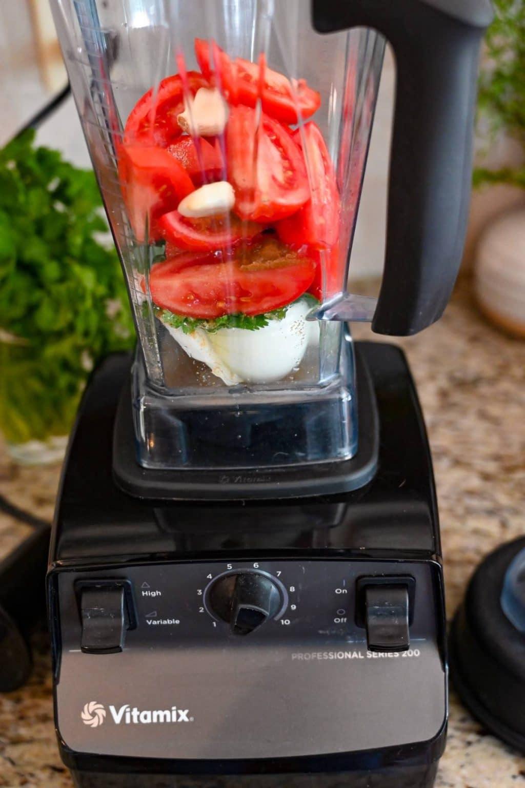 The Best Vitamix Salsa Amee's Savory Dish