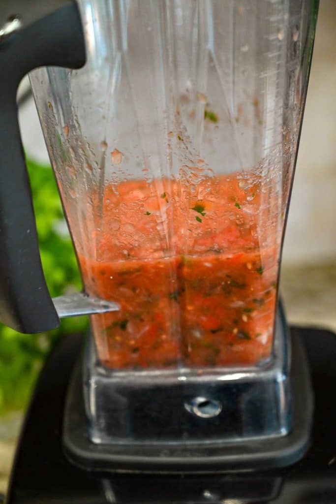 The Best Vitamix Salsa Amee's Savory Dish