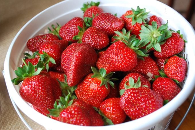 Bucket of freshly picked strawberries for sugar-free fresh strawberry pie
