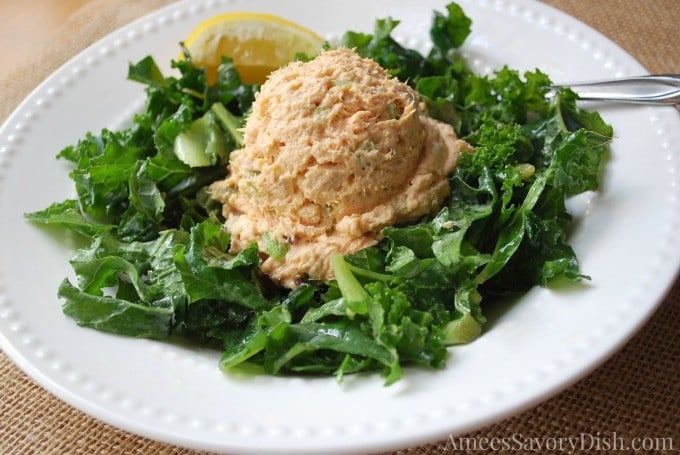 Spicy Paleo Tuna Salad - Tuna salad without mayo just wouldn't be the same, so this paleo tuna salad recipe is made with homemade paleo mayonnaise!