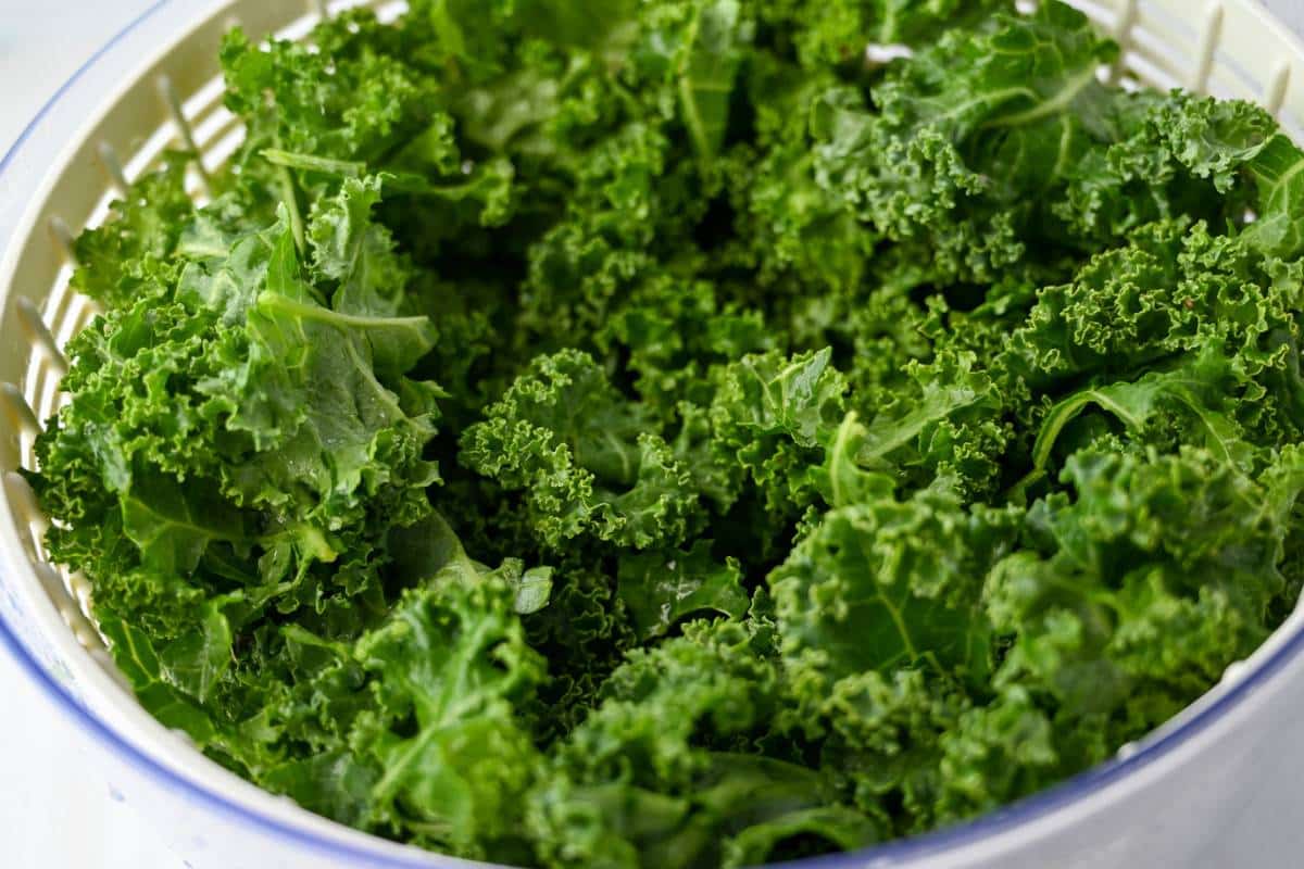washed kale in a salad spinner