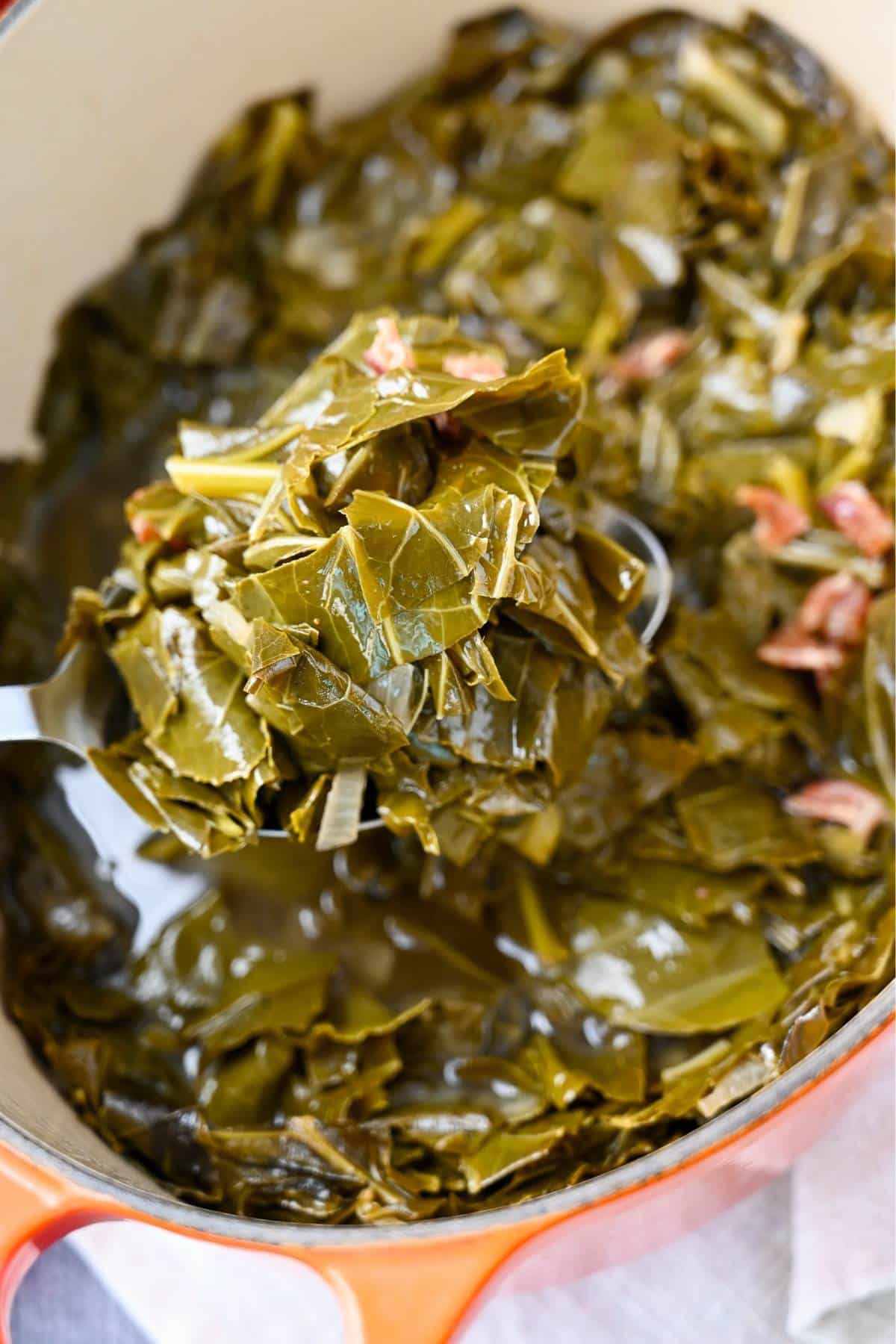 a spoonful of cooked braised collard greens