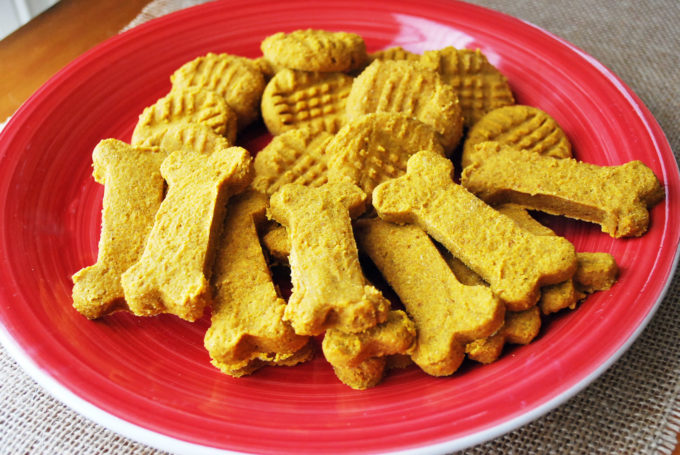 pumpkin dog biscuits from scratch