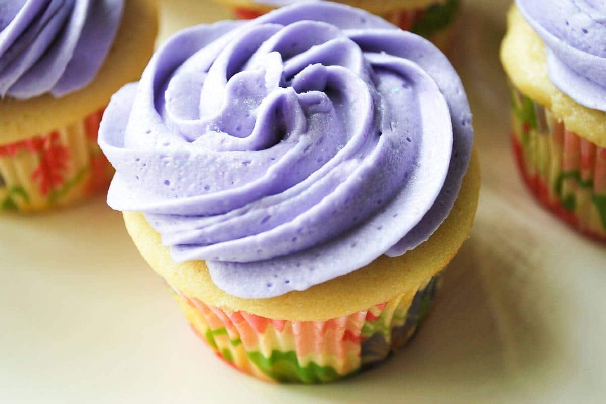one lavender cupcake close up