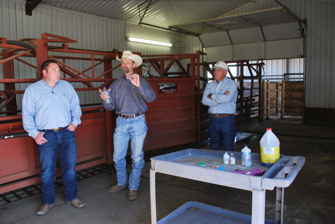 A group of people standing in a cattle barn at the Hale Center feedyard