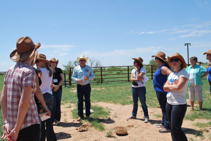 food bloggers visit a beef cattle ranch