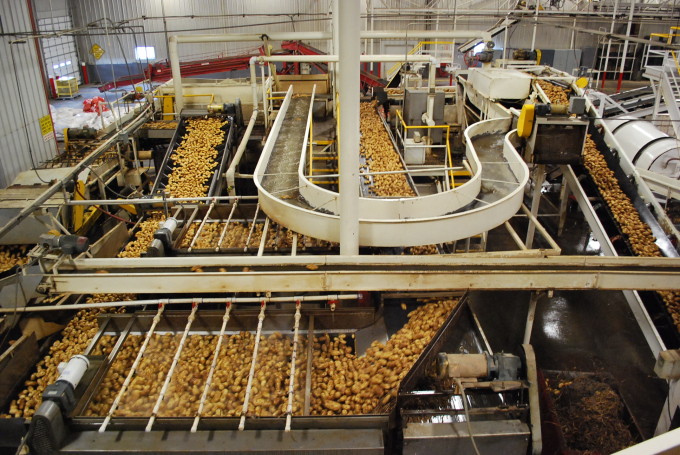 Inside the Wada potato facility 