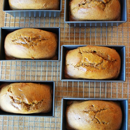 mini pumpkin spice bread loaves on a rack