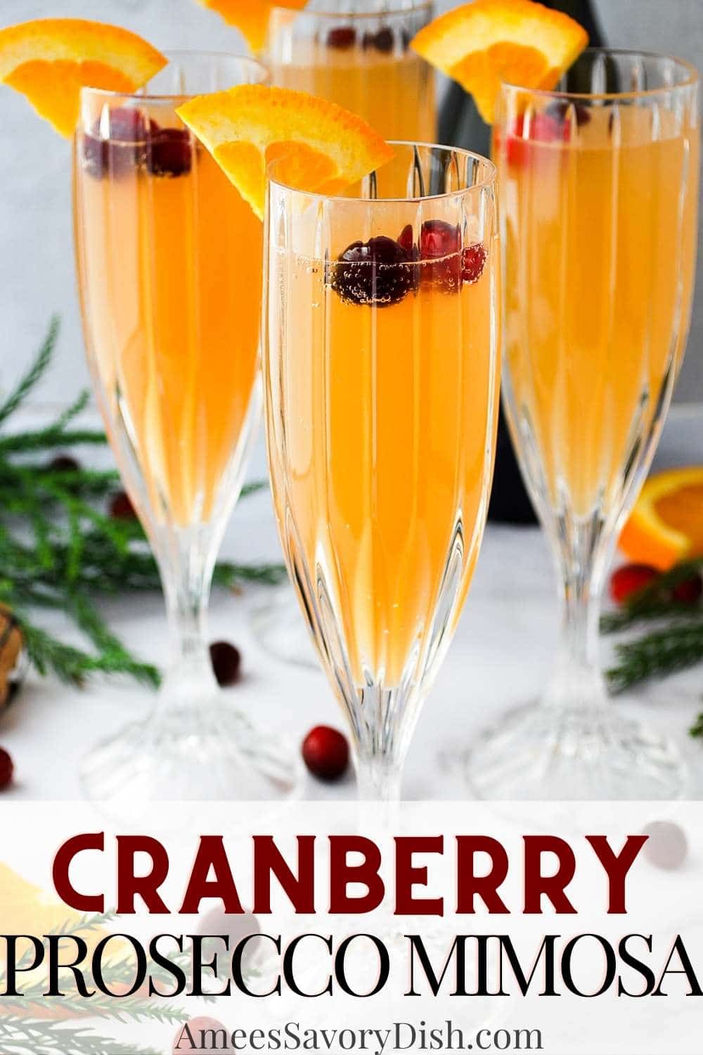 This Cranberry Prosecco Mimosa is a fun and festive libation, perfect for the holiday season, made with Prosecco wine and accents of cranberry and orange. via @Ameessavorydish