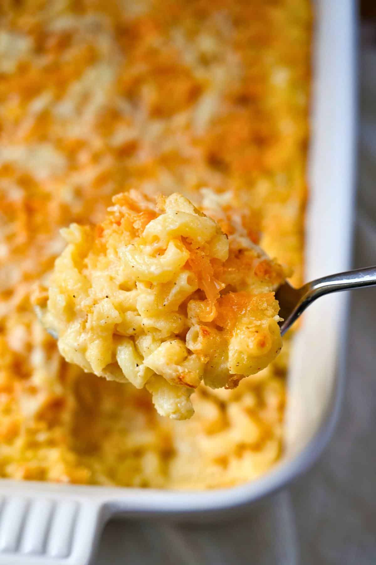 close up of a serving of mac and cheese on a spoon