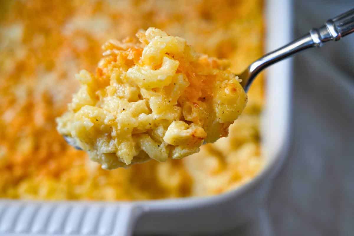 holding up a spoonful of mac and cheese 