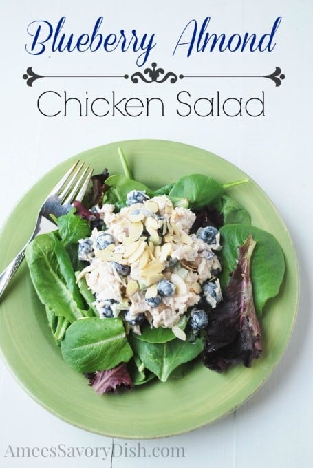 Blueberry Almond Chicken Salad