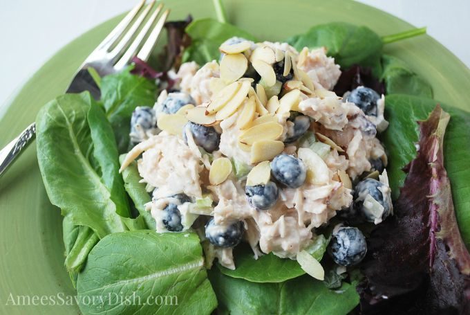 Blueberry Chicken Salad