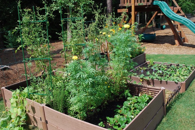 Raised garden beds with a swingset in the background