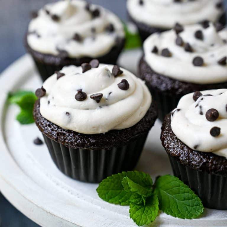 Chocolate Fudge Cupcakes with Chocolate Chip Buttercream