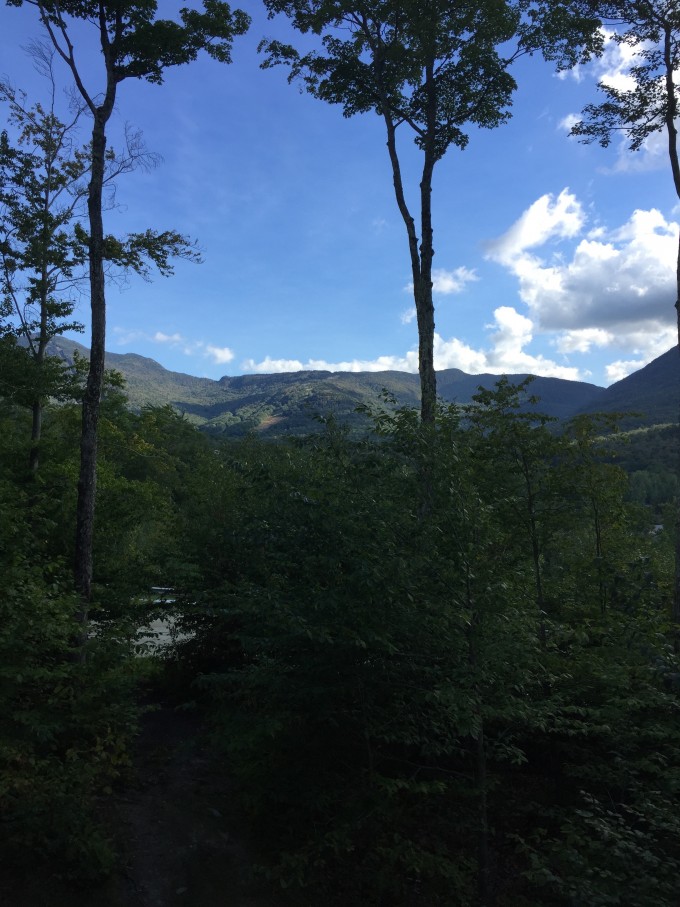 A tree with a mountain in the background