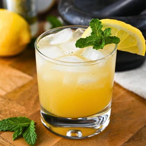 Ginger Beer Mocktail with Honey + Lemon - Chelsea Dishes