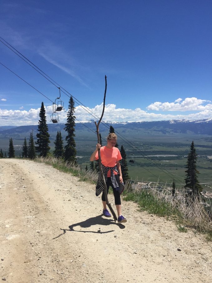 hiking Wildflower Trail