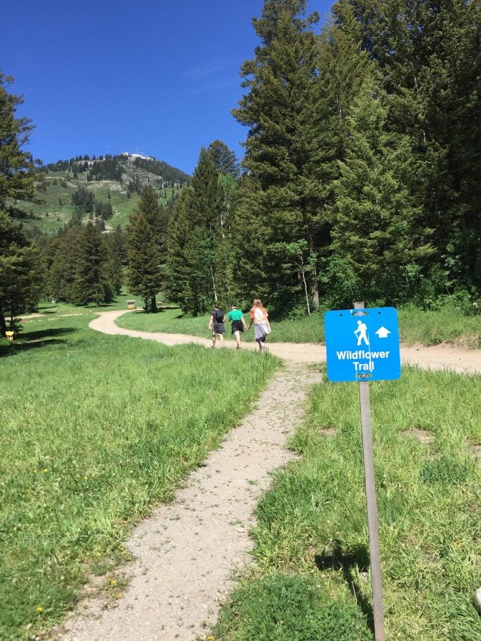 Jackson Hole hike