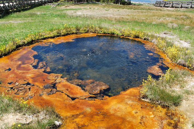 Hot pool in Yellowstone