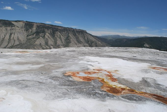 Mammoth Hot Springs top