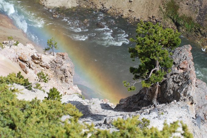 Rainbow at Grand Canyon of Yellowstone