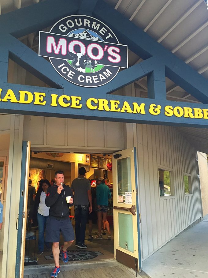 Moo's Ice Cream