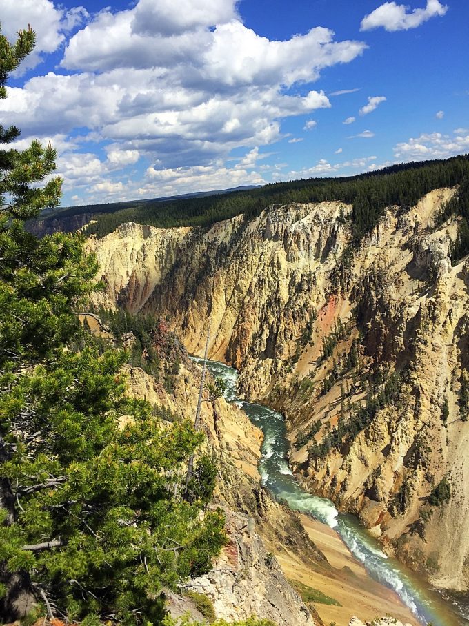 Grand Canyon of Yellowstone